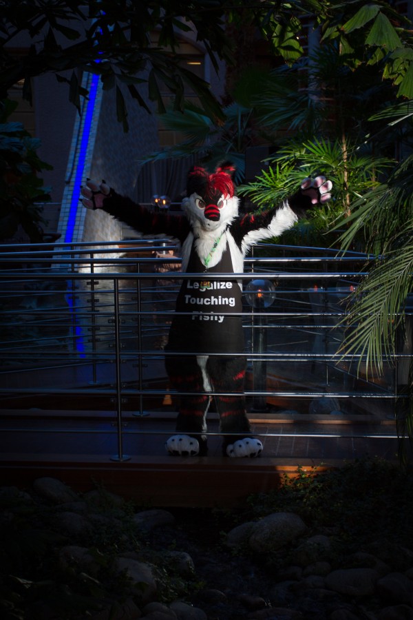 NordicFuzzCon 2018, Fuzz