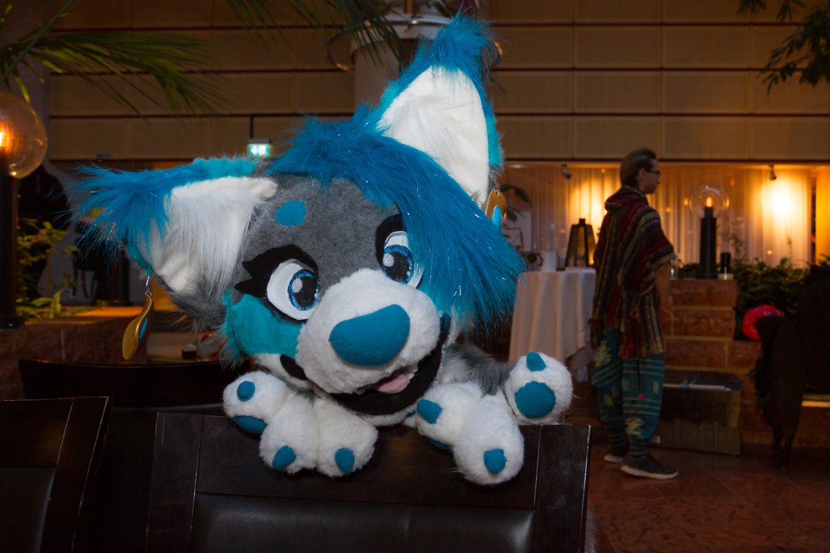 NordicFuzzCon 2018, Fuzz