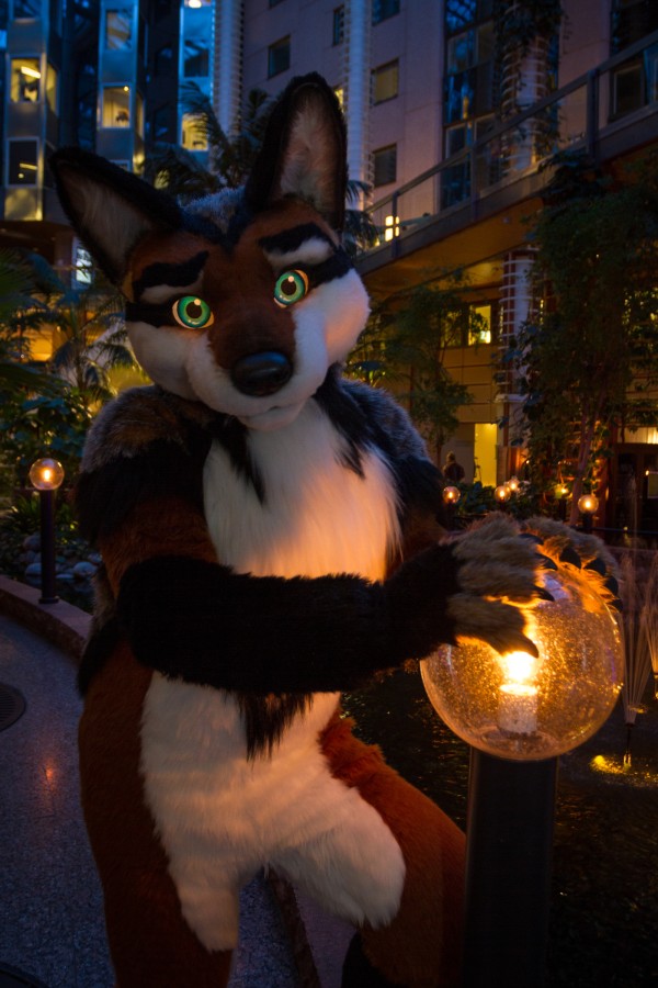 NordicFuzzCon 2018, Fuzz