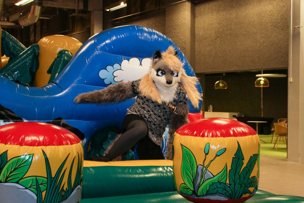 NordicFuzzCon 2018, Active fuzz