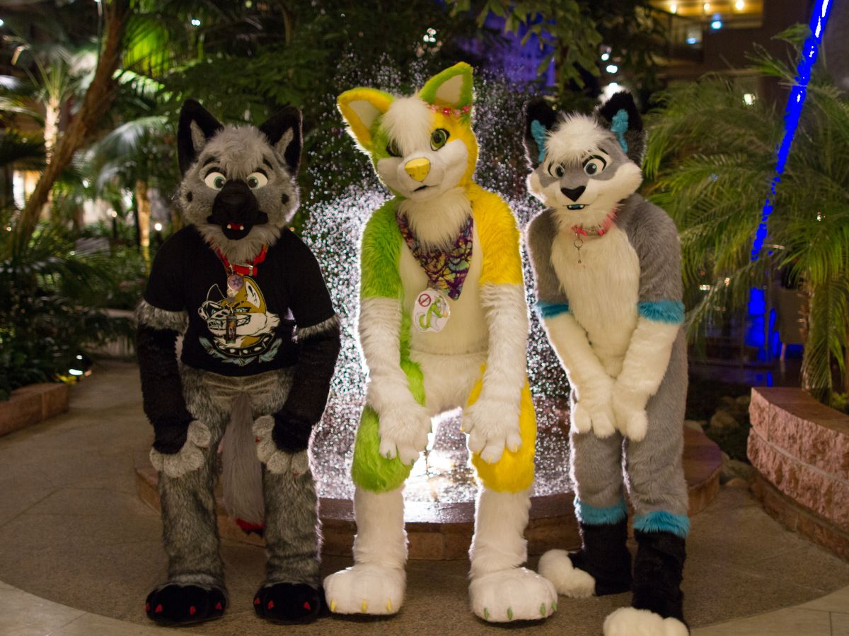 NordicFuzzCon 2018, Fuzz
