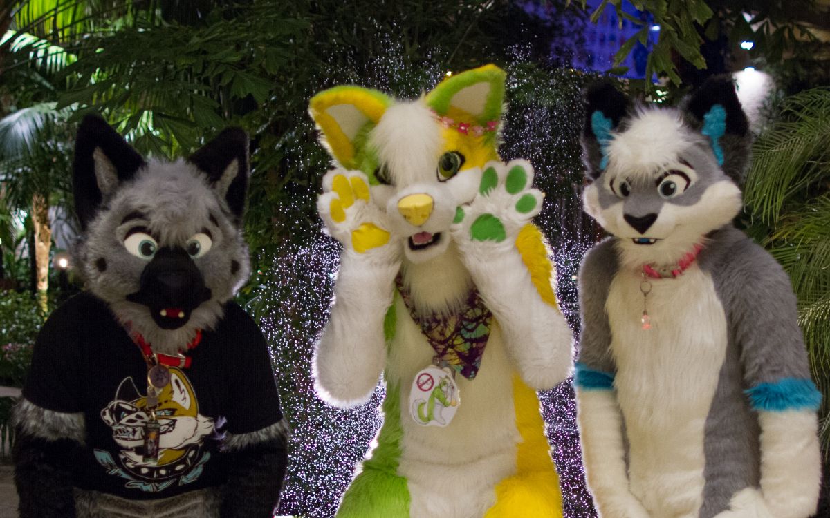 NordicFuzzCon 2018, Fuzz