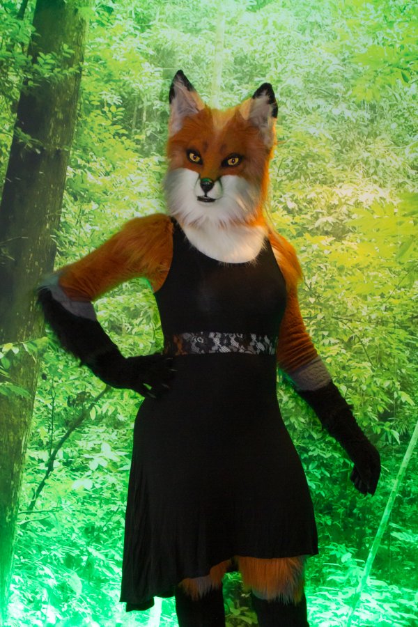 NordicFuzzCon 2018, Fuzz