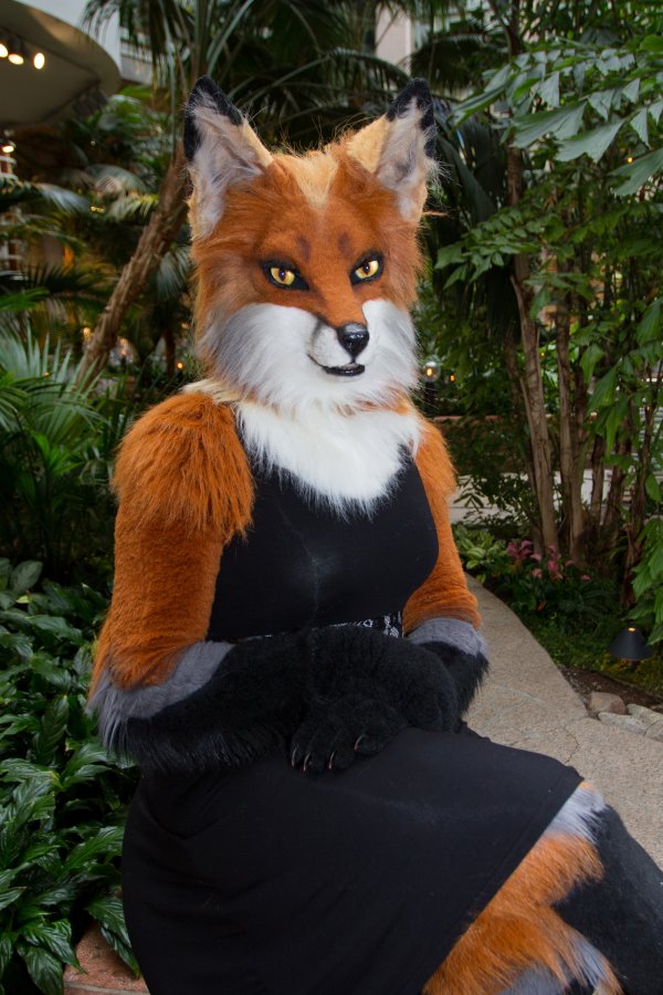 NordicFuzzCon 2018, Fuzz