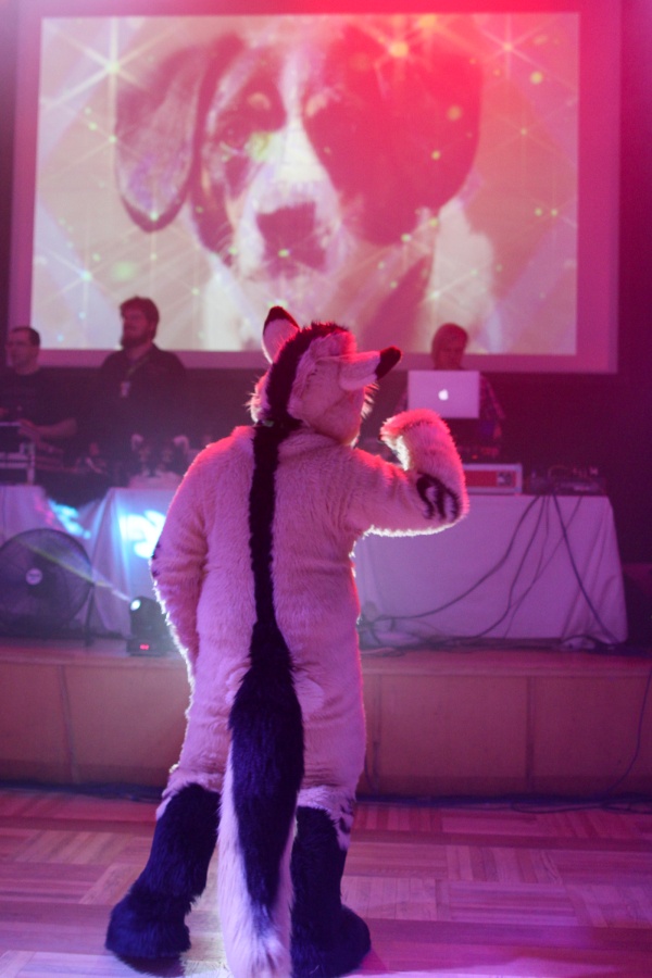 NordicFuzzCon 2018, Active fuzz