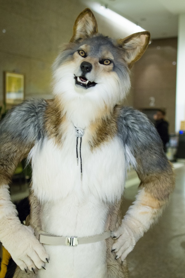 NordicFuzzCon 2018, Fuzz