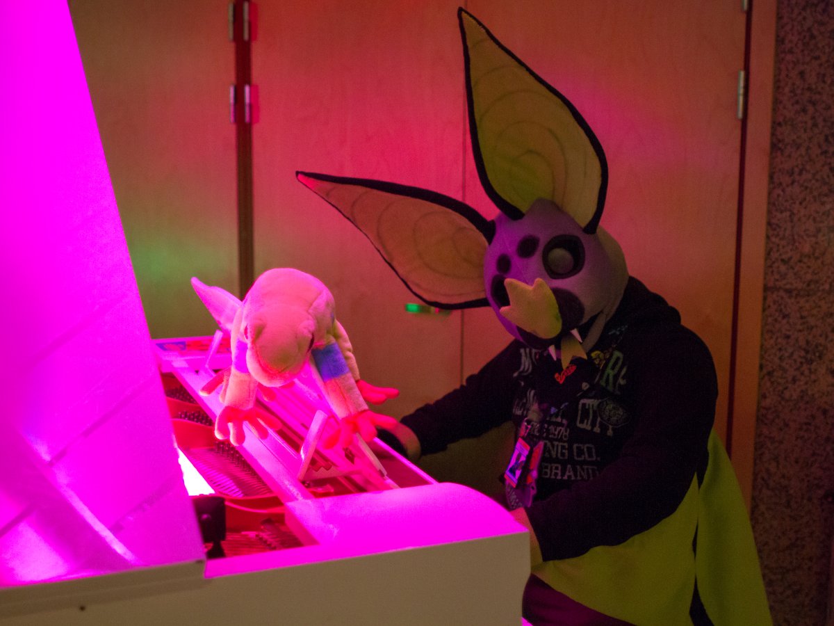 NordicFuzzCon 2018, Fuzz