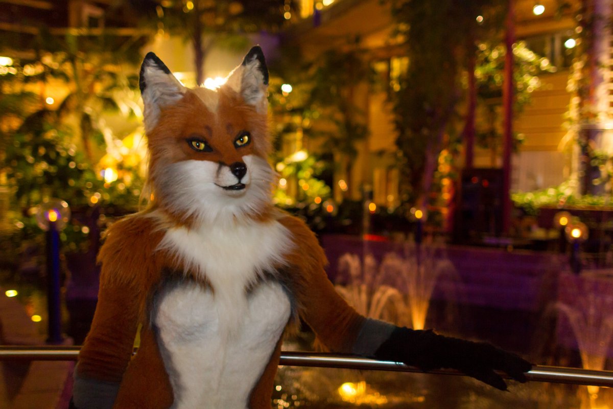 NordicFuzzCon 2018, Fuzz