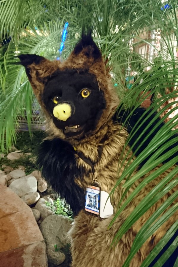 NordicFuzzCon 2019, Fursuiters