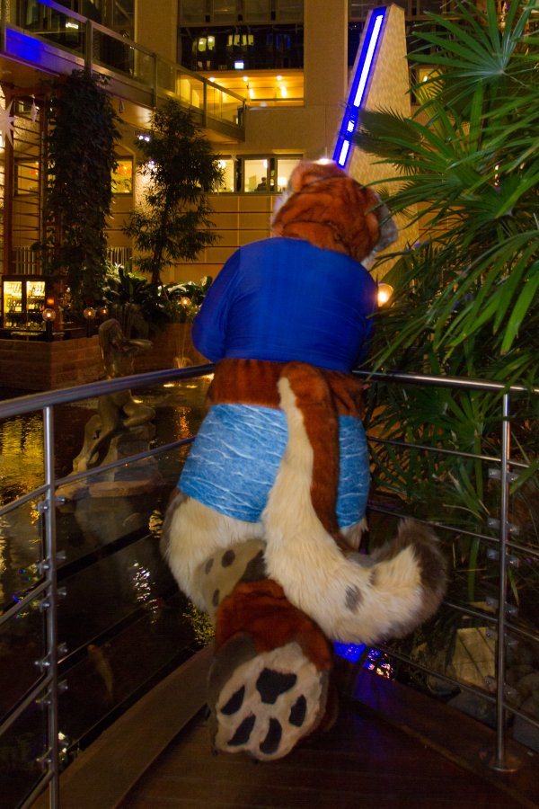 NordicFuzzCon 2019