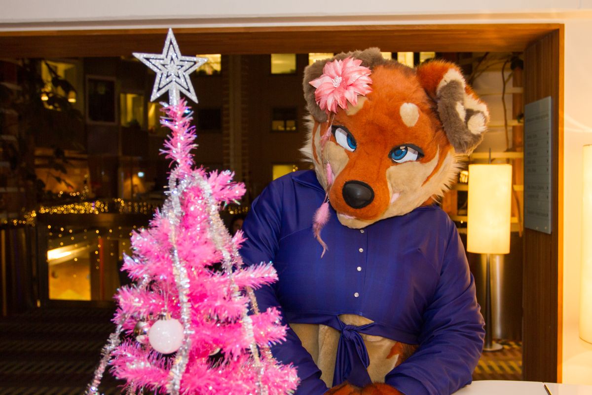 NordicFuzzCon 2019, Mini photoshoots