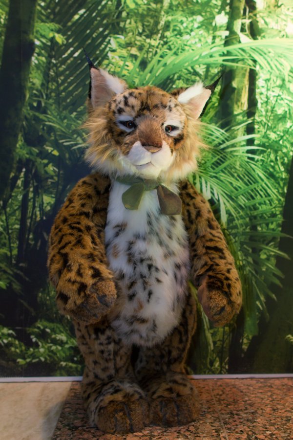 NordicFuzzCon 2019, Other photos