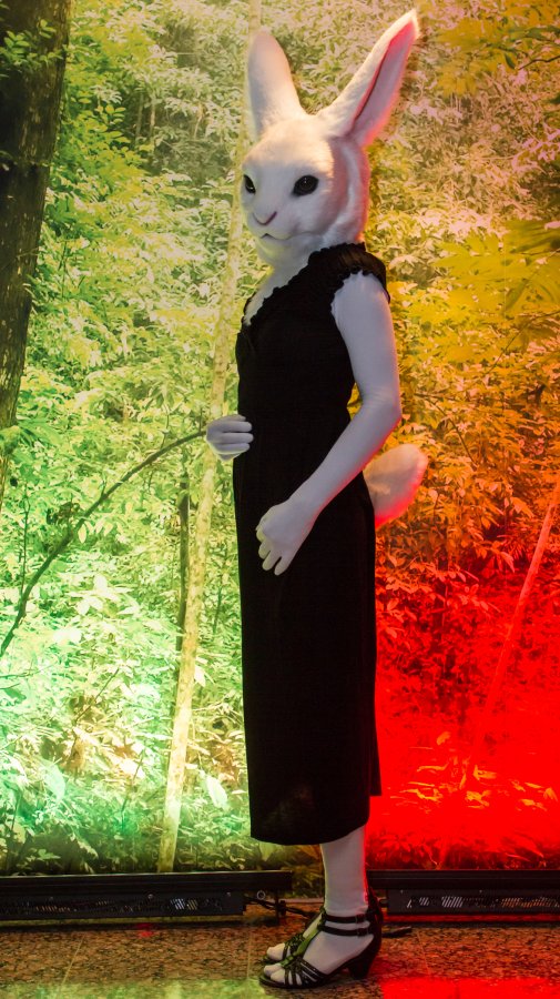 NordicFuzzCon 2019, Evening Lumie