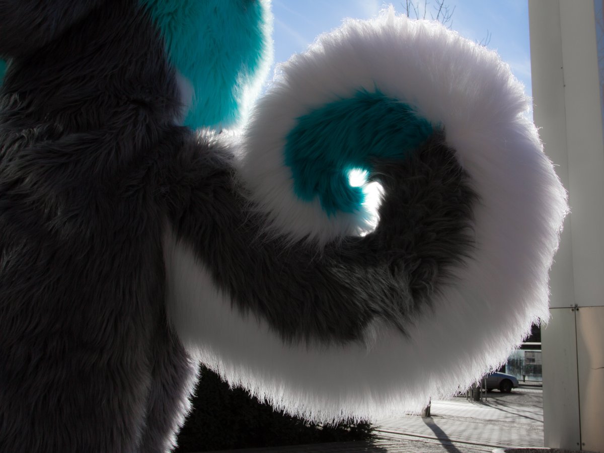 NordicFuzzCon 2019, Fursuiters
