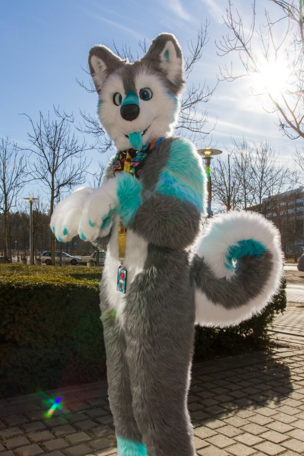 NordicFuzzCon 2019, Fursuiters
