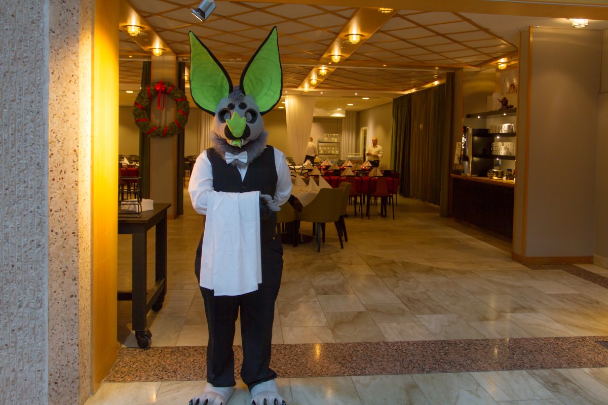 NordicFuzzCon 2019