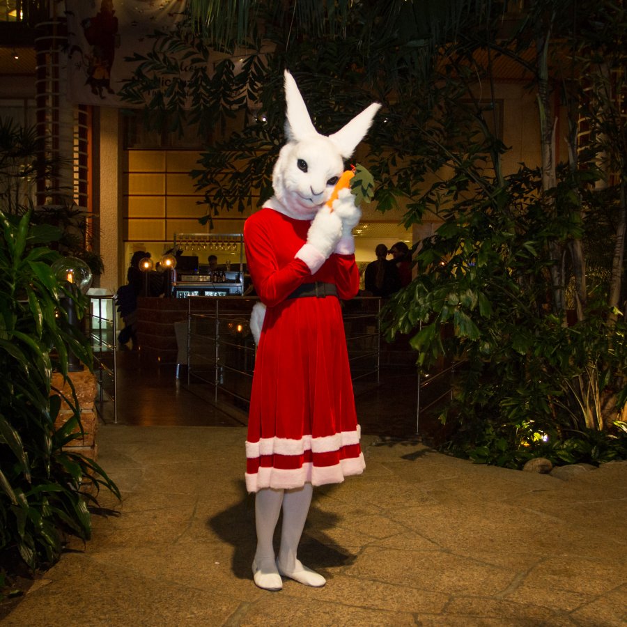 NordicFuzzCon 2019, Christmas Lumie