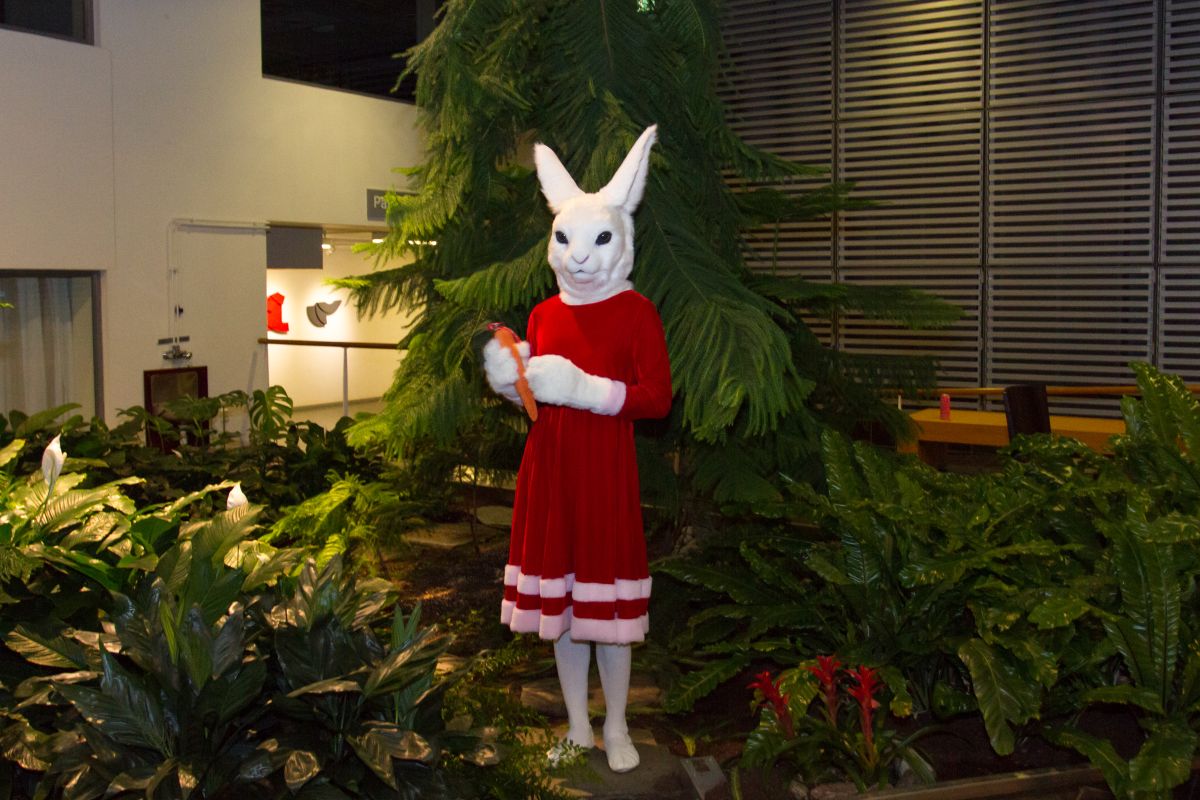 NordicFuzzCon 2019, Christmas Lumie