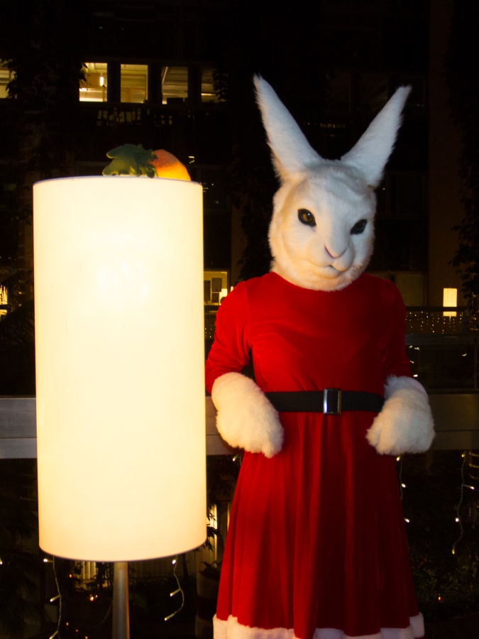 NordicFuzzCon 2019, Christmas Lumie