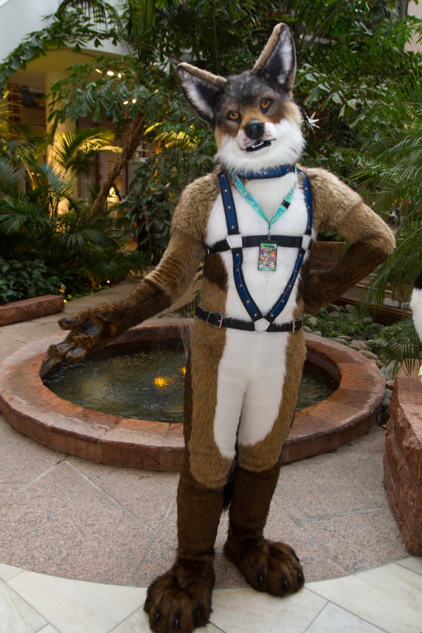 NordicFuzzCon 2019