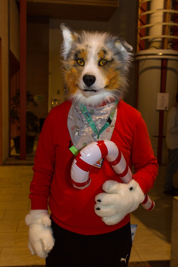 NordicFuzzCon 2019, Fursuiters