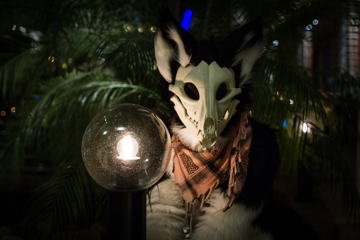 NordicFuzzCon 2019, Fursuiters