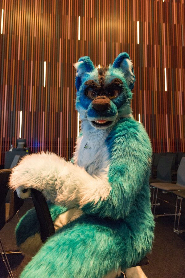 NordicFuzzCon 2020