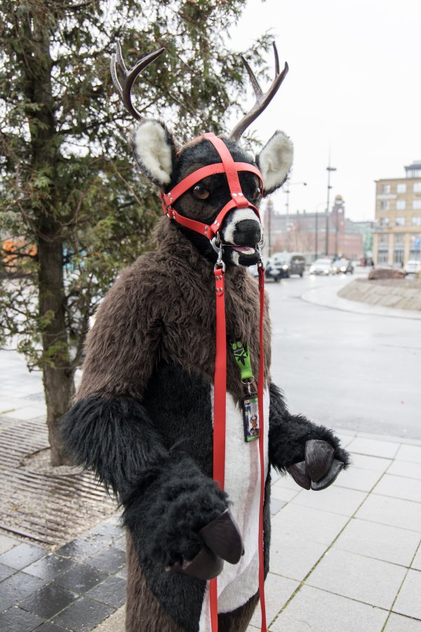 NordicFuzzCon 2020, Fursuiters