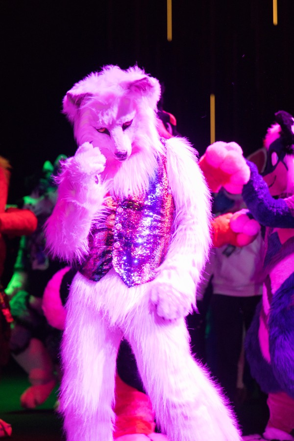NordicFuzzCon 2020, Fursuiters