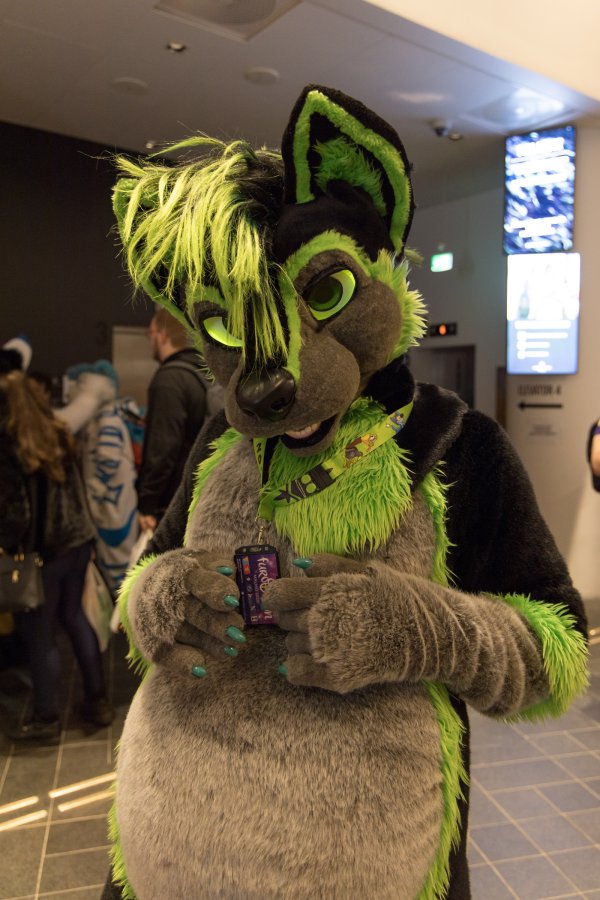 NordicFuzzCon 2020