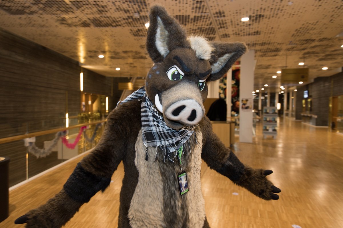 NordicFuzzCon 2020, Fursuiters