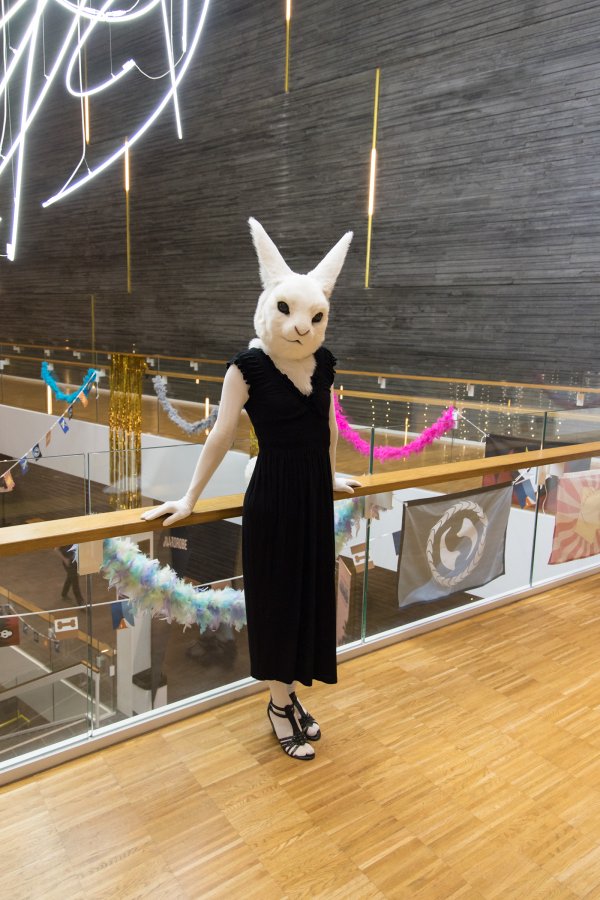 NordicFuzzCon 2020, Lumie bunny