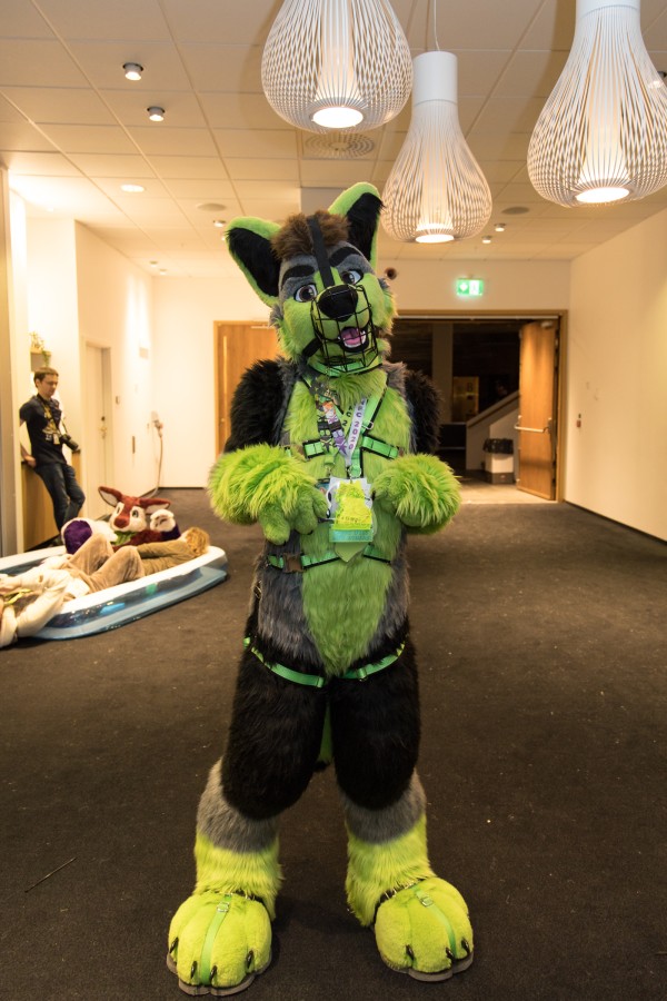 NordicFuzzCon 2020