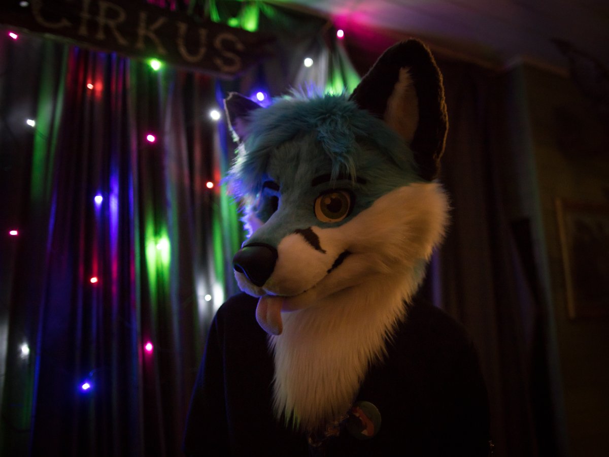 NordicFuzzCon 2020, Fursuiters