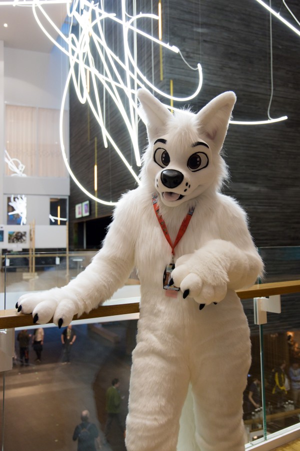 NordicFuzzCon 2023, Indoor photos