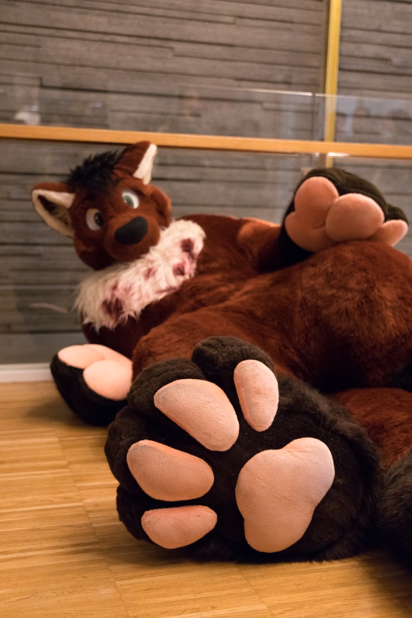 NordicFuzzCon 2023, Indoor photos