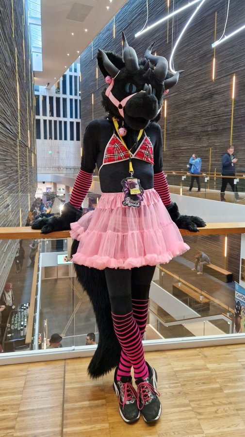 NordicFuzzCon 2023, Indoor photos