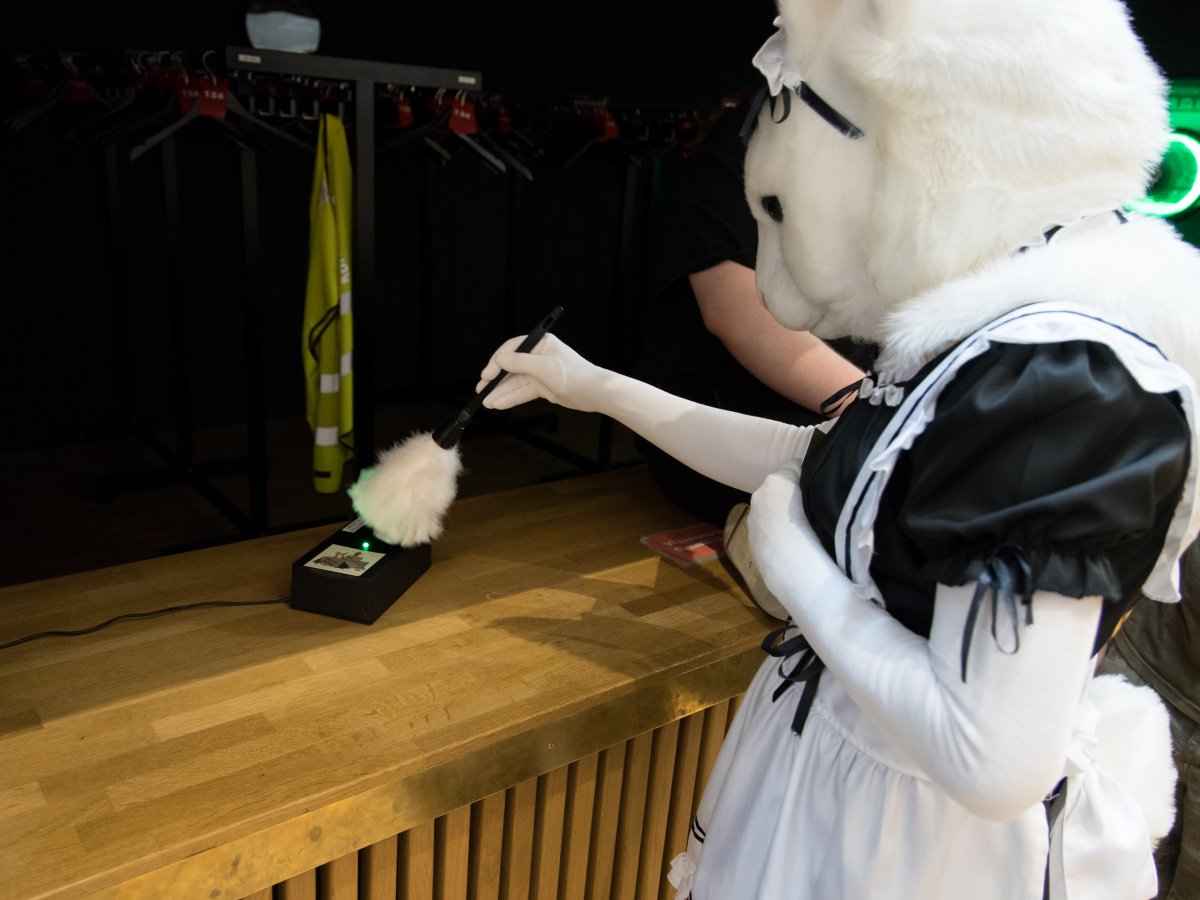 NordicFuzzCon 2023, Lumie bunny