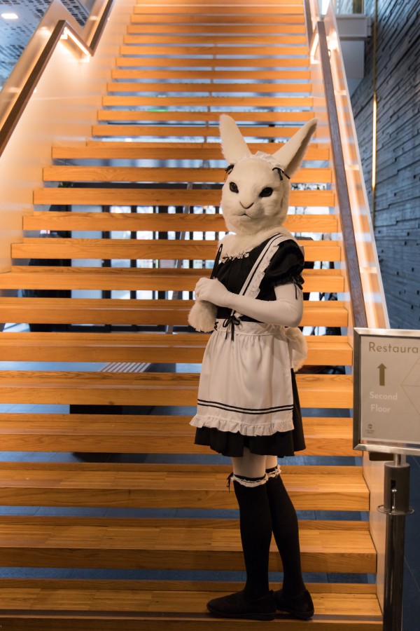 NordicFuzzCon 2023, Lumie bunny