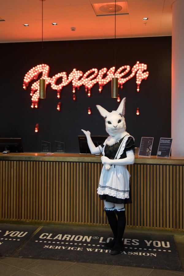 NordicFuzzCon 2023, Lumie bunny