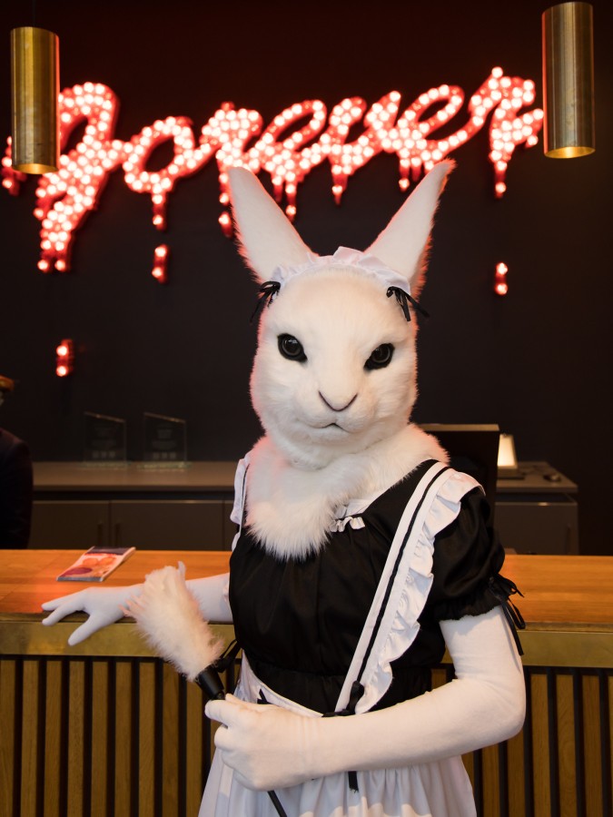 NordicFuzzCon 2023, Lumie bunny