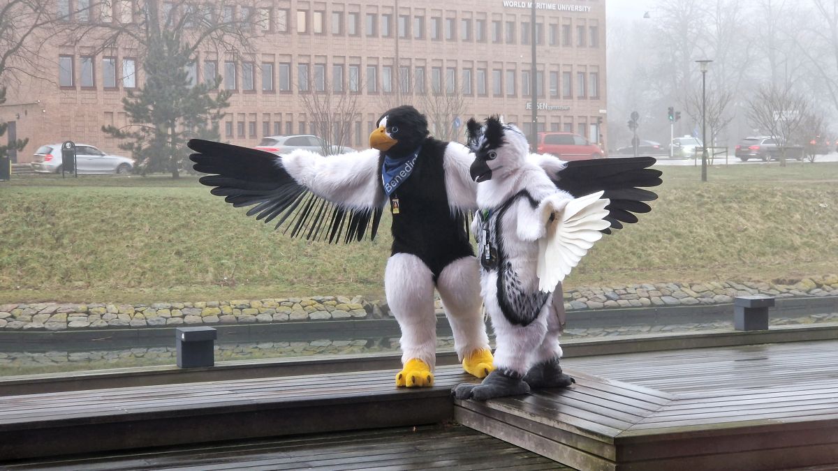 NordicFuzzCon 2023, Outdoor photos