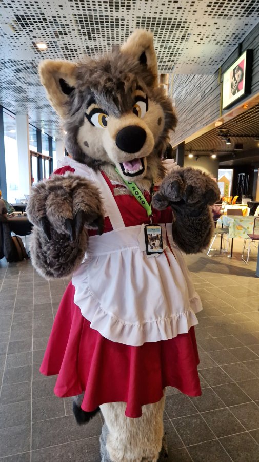 NordicFuzzCon 2023, Indoor photos