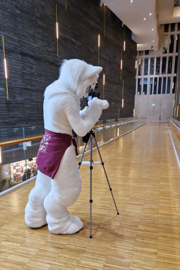 NordicFuzzCon 2023, Indoor photos