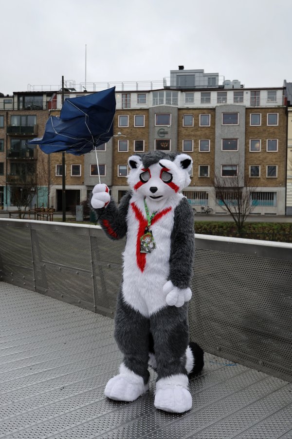 NordicFuzzCon 2023, Mini photoshoots