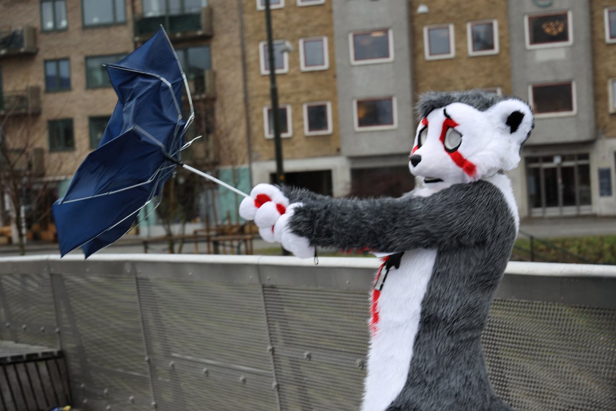 NordicFuzzCon 2023, Mini photoshoots
