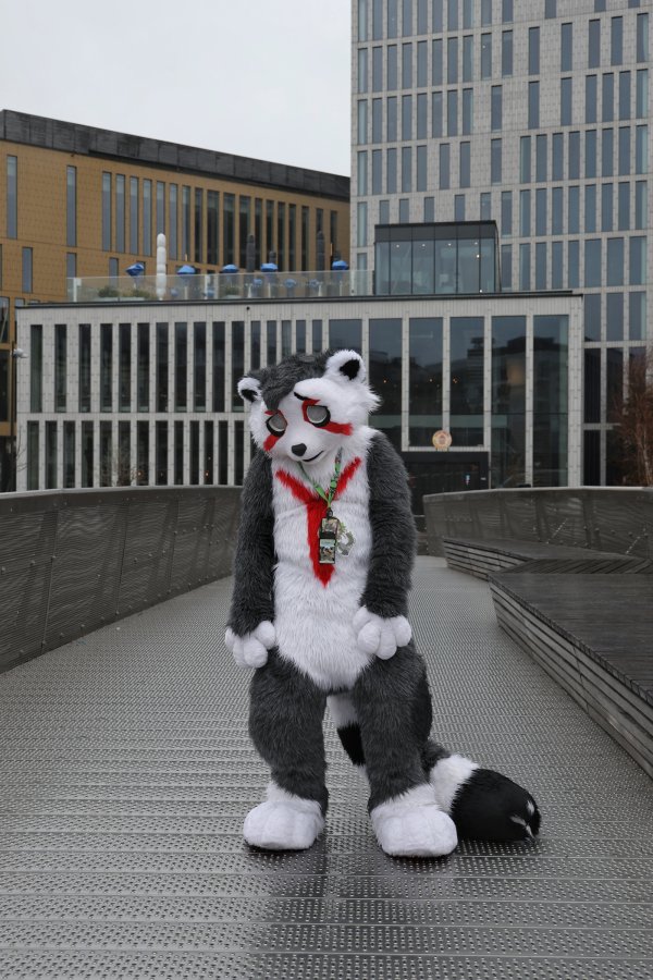 NordicFuzzCon 2023, Mini photoshoots