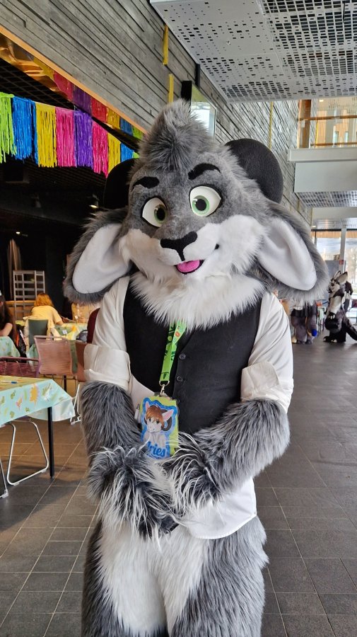 NordicFuzzCon 2023, Indoor photos