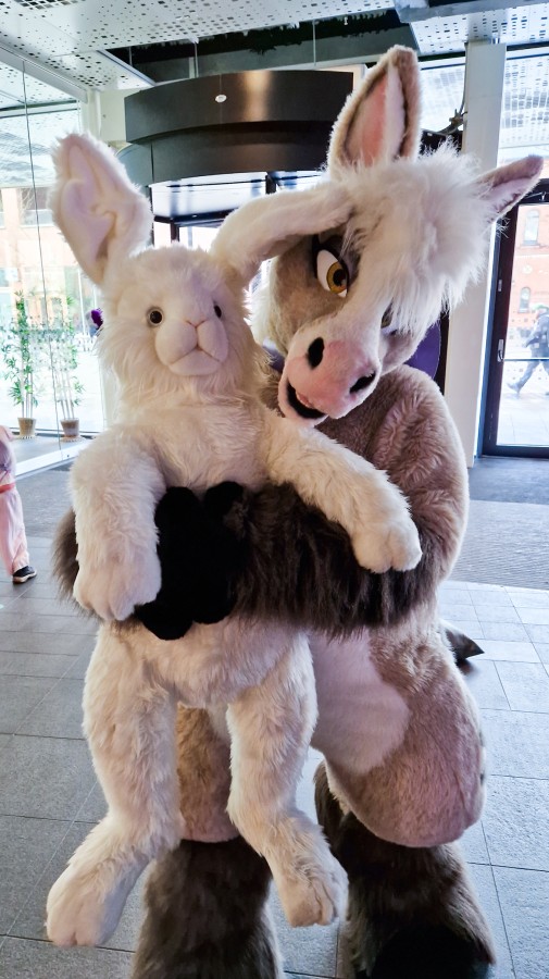 NordicFuzzCon 2023, Plushie bunny