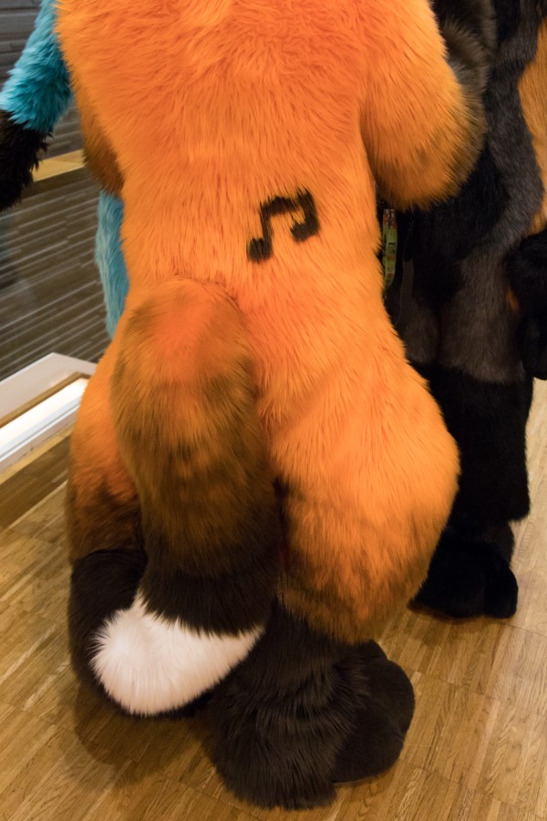 NordicFuzzCon 2023, Indoor photos